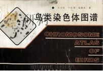 鸟类染色体图谱（1988 PDF版）