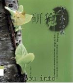 青春万岁  飞扬的青春  梦幻的艺术（ PDF版）