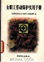 女职工劳动保护实用手册 1998 PDF电子版封面 7504522465 劳动部职业安全卫生与锅炉压力容器监察局编