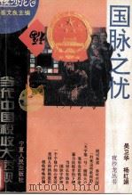 国脉之忧 当代中国税收大透视 1994 PDF电子版封面 722701360X 吴卫华,杨红娟著