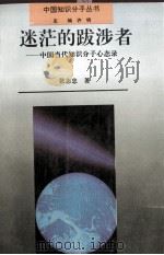 迷茫的跋涉者 中国当代知识分子心态录 1995 PDF电子版封面 7215034364 张志忠著