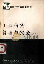 工业信贷管理与实务（ PDF版）
