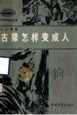 青年科学普及读物  古猿怎样变成人（1977 PDF版）