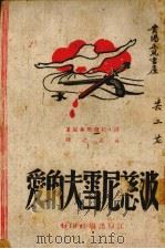 波慈尼雪夫的爱（ PDF版）