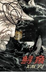 鲟鱼（1981 PDF版）