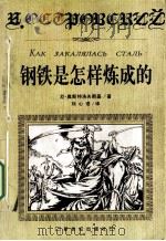 钢铁是怎样炼成的（1998 PDF版）