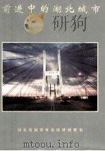 前进中的湖北城市  1996（1996 PDF版）