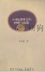 20世纪世界文学 回眸与沉思 1998 PDF电子版封面 7805798699 毛信德著