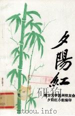 夕阳红（1999 PDF版）