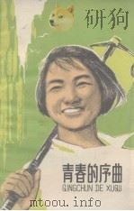 青春的序曲 1966.03 PDF电子版封面 中国人民解放军新疆军区生产建设兵团政治部编
