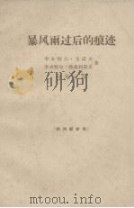 暴风雨过后的痕迹（1965 PDF版）