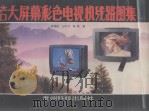 国产、进口大屏幕彩色电视机线路图集  一（1996.05 PDF版）
