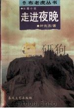 走进夜晚  长篇小说（1994 PDF版）