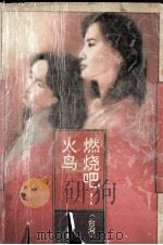 燃烧吧，火鸟（1993 PDF版）