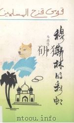 穆斯林的彩虹 1993 PDF电子版封面 7810164961 马德俊著