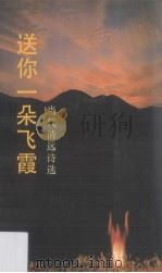 送你一朵飞霞（1990 PDF版）