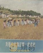 农业通俗画库 第1辑 7 发展中的江西第一农业社 1956 PDF电子版封面 农业部农业宣传总局编