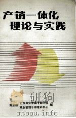 产销一体化理论与实践（ PDF版）