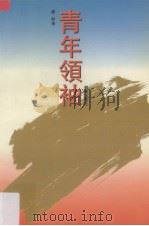青年领袖（1993 PDF版）