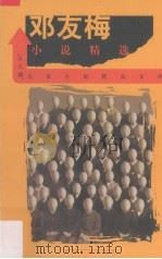 邓友梅小说精选（1999 PDF版）