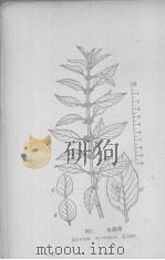 潮汕草药（1968.01 PDF版）