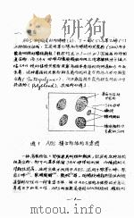本体悬浮法合成ABS树脂（ PDF版）