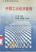 中国工业经济管理 1992 PDF电子版封面 7542404032 周彬主编
