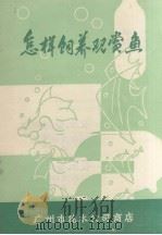 怎样饲养观赏鱼（ PDF版）