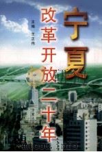 宁夏改革开放二十年（1998 PDF版）