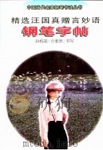 精选汪国真赠言妙语钢笔字帖（1997 PDF版）
