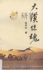 大漠惊魂（1990 PDF版）