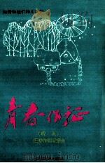 青春作证  知青和他们的儿女们  续集（1995 PDF版）