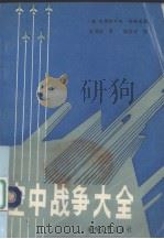 空中战争大全（ PDF版）