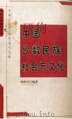 中国少数民族社会与文化 1999 PDF电子版封面 7306014617 杨鹤书编著