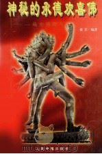 神秘的承德欢喜佛:藏密佛像考 1998 PDF电子版封面 7800656276 彼岸编著