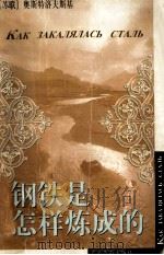 钢铁是怎样炼成的（1999 PDF版）