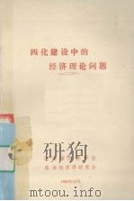 四化建设中的经济理论问题（1982 PDF版）