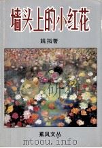 墙头上的小花（1992 PDF版）