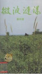 微波涟漾（1991 PDF版）