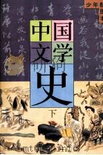 中国文学史 下 少年配图本 PDF电子版封面 753917995 穆一衡著