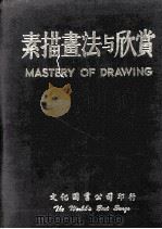 素描书法与欣赏（ PDF版）