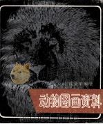 动物图画资料（1989 PDF版）