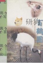 百鹤图（1999 PDF版）