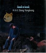 当代艺术个案丛书  宋永红  欲望广场（ PDF版）