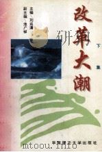 改革大潮  下集（1996 PDF版）