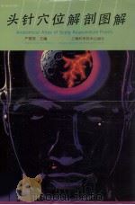 头针穴位解剖图解  中英对照（1993 PDF版）