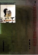 人体简明局部分层与CT层面解剖图谱 1995 PDF电子版封面 7536117418 曾汉宗,彭学主编