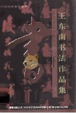 王东南书法作品集 PDF电子版封面 王东南