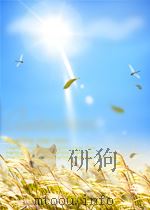 中国经济的运行与发展（1995.03 PDF版）