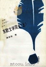 世界文学评介丛书 东欧文学简史 上 1993 PDF电子版封面 7805907951 蒋承俊,郑恩波等著